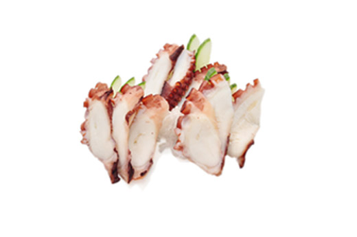 SA6.Tako (poulpe)